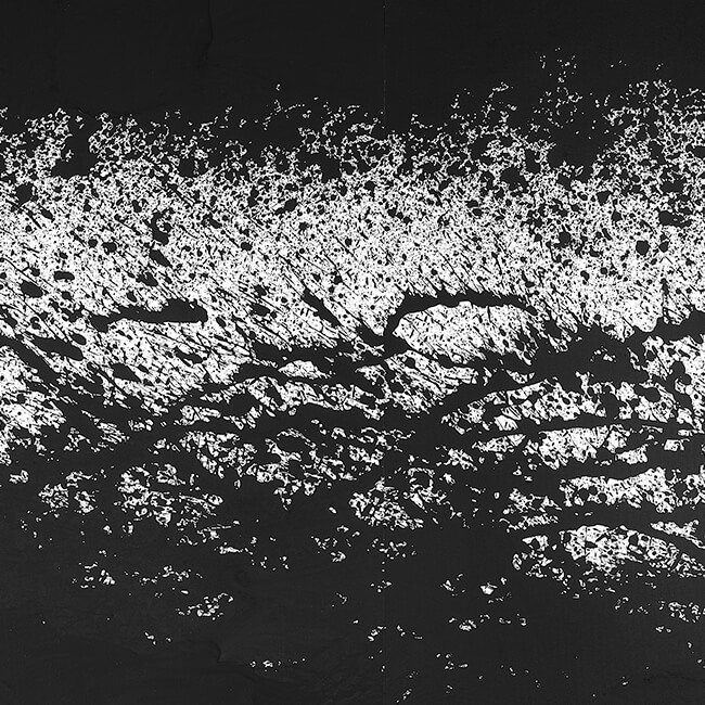 婁正綱(ろうせいこう・ロウセイコウ) Lou Zhenggang