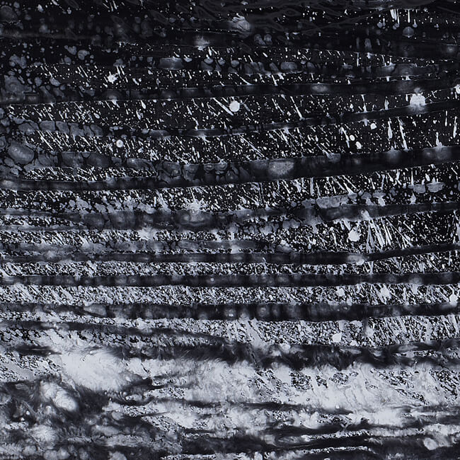 婁正綱(ろうせいこう・ロウセイコウ) Lou Zhenggang